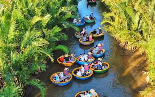 VÉ RỪNG DỪA BẢY MẪU 2025