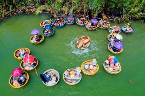 VÉ RỪNG DỪA BẢY MẪU 2025